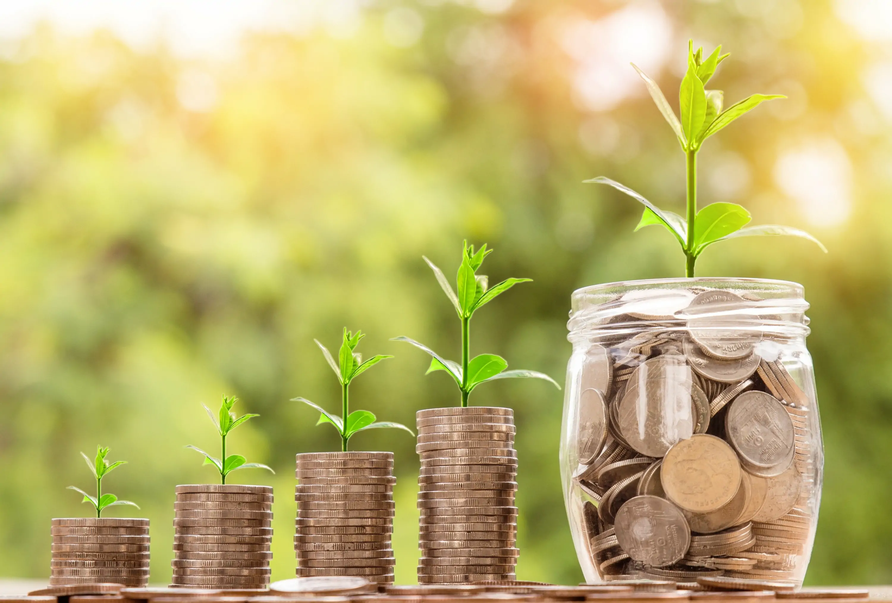 Stacks of coins placed in height order with stems growing out of them, next to jar full of coins with a stem growing out of it